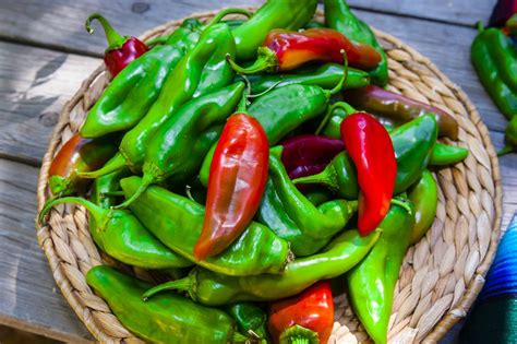 New mexico green chili peppers. Things To Know About New mexico green chili peppers. 